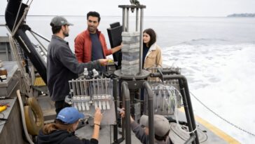 Le fond marin peut-il aider l'océan à absorber plus de CO₂?