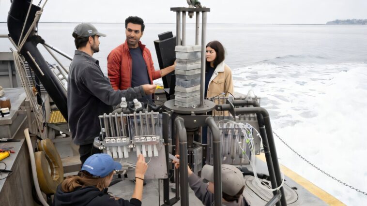 Le fond marin peut-il aider l'océan à absorber plus de CO₂?