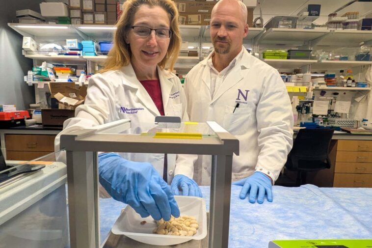 Le médicament d'asthme commun pourrait empêcher les réactions allergiques potentiellement mortelles