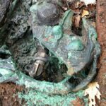 Le mégafire Bravo Dragon Bravo de Grand Canyon montre la menace croissante des incendies de forêt pour les systèmes d'eau