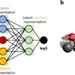 Le modèle disponible gratuitement prédit comment les molécules se dissoudre dans différents solvants