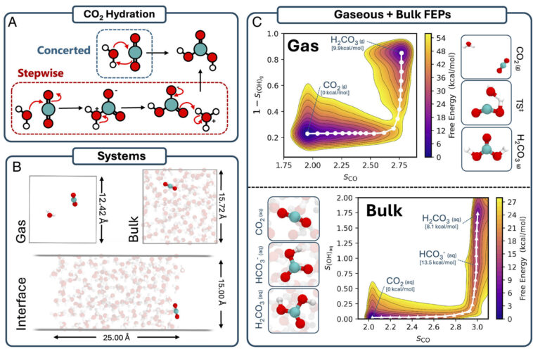 Le nouveau mécanisme «dans et out» révèle comment le dioxyde de carbone réagit à la surface de l'eau