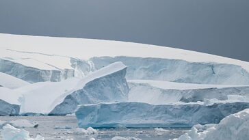 Le paysage changeant de l'Antarctique souligne la nécessité d'une action coordonnée, dit le rapport