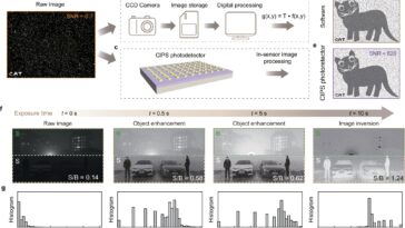 Le photodétecteur ionique-électronique rapproche la vision insensure de la réalité