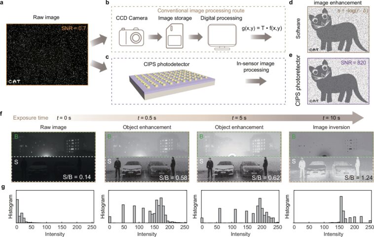 Le photodétecteur ionique-électronique rapproche la vision insensure de la réalité Le photodétecteur ionique-électronique rapproche la vision insensure de la réalité