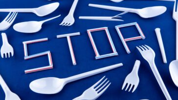 Le processus du traité mondial des plastiques est tombé à plat - voici ce qui n'a pas mal et comment vous pouvez aider