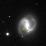 Le protocole de réponse rapide promet de révéler les supernovae seulement quelques heures après leur explosion