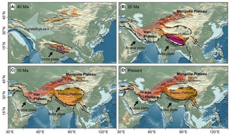Le soulèvement des plateaux asiatiques entraîne des déplacements climatiques et façonne les modèles de biodiversité, les découvertes de l'étude