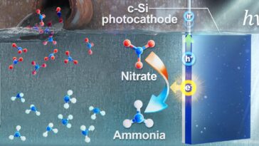 Le système photoélectrochimique solaire convertit le nitrate dans les eaux usées en ammoniac de grande valeur
