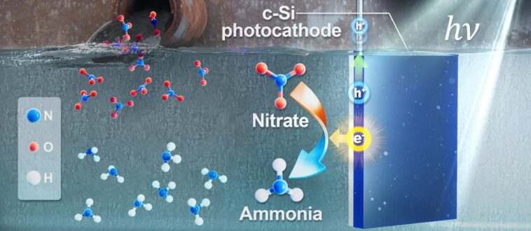 Le système photoélectrochimique solaire convertit le nitrate dans les eaux usées en ammoniac de grande valeur
