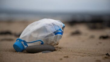 Le temps de décision comme commencent le traité de pollution plastique