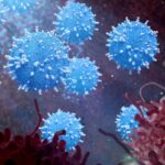 Le virus du cancer devient plus efficace lorsqu'il est protégé par des bactéries