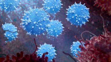 Le virus du cancer devient plus efficace lorsqu'il est protégé par des bactéries