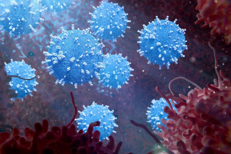 Le virus du cancer devient plus efficace lorsqu'il est protégé par des bactéries