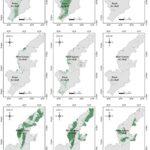 Les algues de neige accélèrent la fusion de la plate-forme de glace antarctique, la recherche découvre