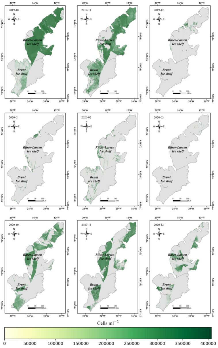Les algues de neige accélèrent la fusion de la plate-forme de glace antarctique, la recherche découvre