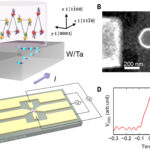 Les antiferromagnets surpassent les ferromagnets dans les opérations de mémoire ultrafast et économes en énergie