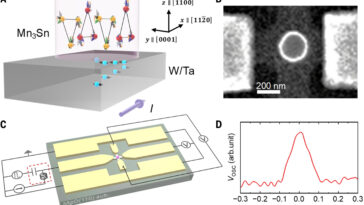 Les antiferromagnets surpassent les ferromagnets dans les opérations de mémoire ultrafast et économes en énergie