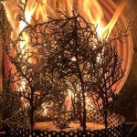 Les arbres peuvent devenir plus inflammables à cause du changement climatique