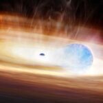 Les astronomes découvrent un nouveau type de supernova déclenché par une interaction de trou noire-star