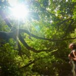 Les bains de forêt peuvent stimuler la santé physique, pas seulement le bien-être mental