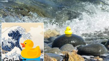Les canards en caoutchouc immobiliers montrent un polymère hydrogel adhésif sous-marin le plus performant