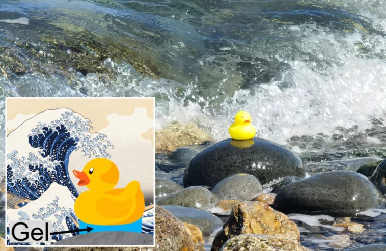 Les canards en caoutchouc immobiliers montrent un polymère hydrogel adhésif sous-marin le plus performant Les canards en caoutchouc immobiliers montrent un polymère hydrogel adhésif sous-marin le plus performant