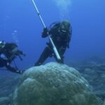 Les changements brusques de l'Antarctique pourraient avoir «des conséquences catastrophiques pour les générations à venir», avertissent les experts