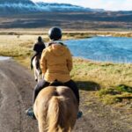 Les chevaux peuvent être ridables à l'aide d'une mutation génétique