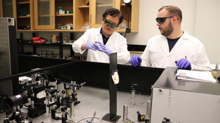 Les chimistes détaillent une nouvelle approche photobiocatalytique de la formation de liaisons en nitrogène en carbone