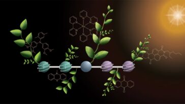 Les chimistes développent une molécule de stockage à quatre charges pour faire progresser la photosynthèse artificielle