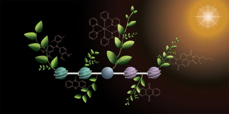 Les chimistes développent une molécule de stockage à quatre charges pour faire progresser la photosynthèse artificielle Les chimistes développent une molécule de stockage à quatre charges pour faire progresser la photosynthèse artificielle