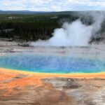 Les chimistes montrent comment l'ARN aurait pu commencer à fabriquer des protéines sur la terre précoce