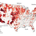 Les comtés ayant des opérations d'alimentation animale sont confrontés à une plus grande pollution atmosphérique et à une couverture d'assurance maladie inférieure, constatation d'étude Les comtés ayant des opérations d'alimentation animale sont confrontés à une plus grande pollution atmosphérique et à une couverture d'assurance maladie inférieure, constatation d'étude