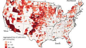 Les comtés ayant des opérations d'alimentation animale sont confrontés à une plus grande pollution atmosphérique et à une couverture d'assurance maladie inférieure, constatation d'étude