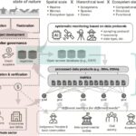 Les crédits de la biodiversité ont besoin de transparence et de réglementation pour avoir un impact et une crédibilité, disent les chercheurs