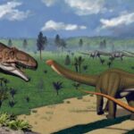 Les dents de dinosaure révèlent que certains étaient des mangeurs difficiles Les dents de dinosaure révèlent que certains étaient des mangeurs difficiles