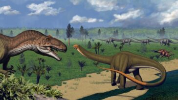 Les dents de dinosaure révèlent que certains étaient des mangeurs difficiles