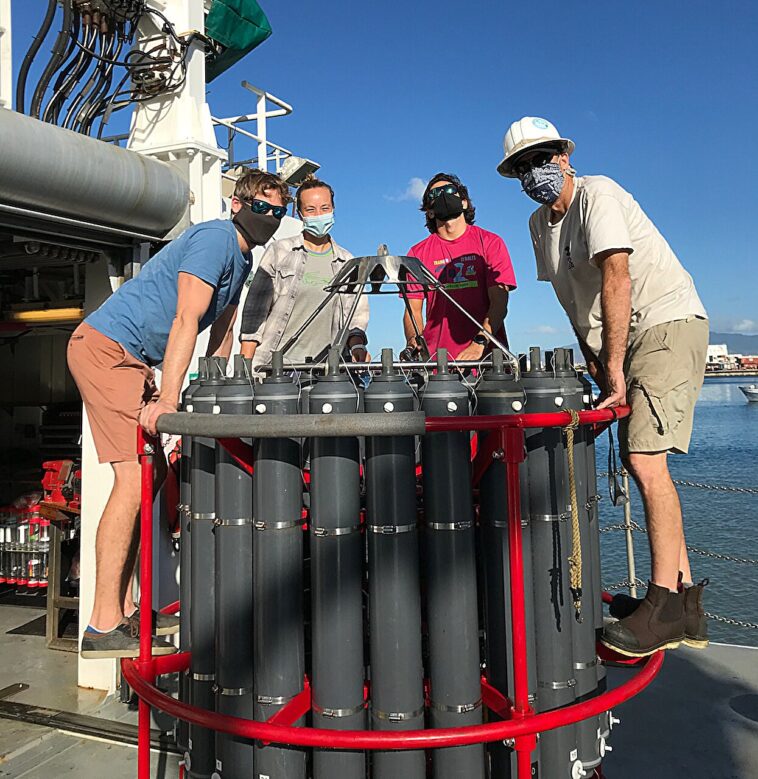 Les eaux du Pacifique Nord se sont acidifiées plus rapidement sous la surface, révèle la recherche