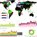 Les forêts mondiales stockent une vaste richesse carbone, mais les systèmes de crédit sous-évaluent leur véritable potentiel, découvre l'étude