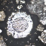 Les gouttes de pluie en fusion aident à retracer l'histoire de Jupiter'S formation Les gouttes de pluie en fusion aident à retracer l'histoire de Jupiter'S formation