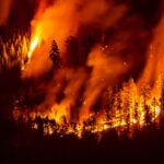 Les incendies de forêt axés sur le climat inversant les progrès de la pollution en N. Amérique: étude