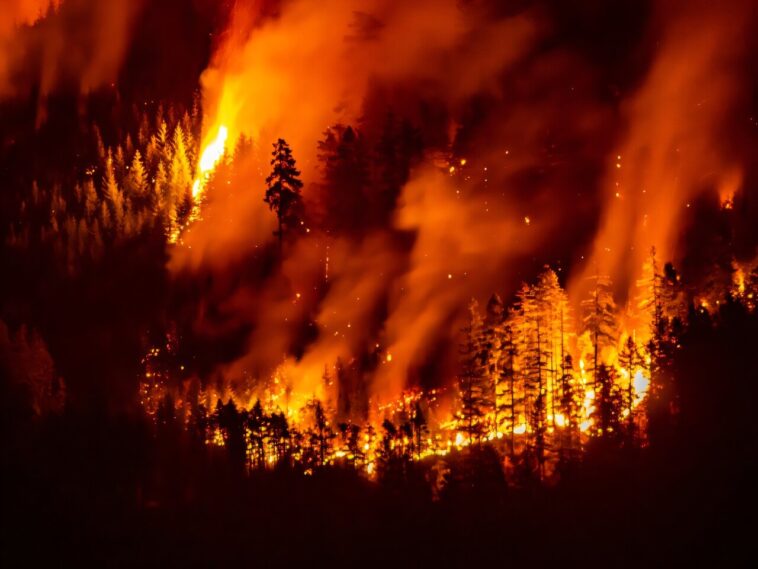 Les incendies de forêt axés sur le climat inversant les progrès de la pollution en N. Amérique: étude