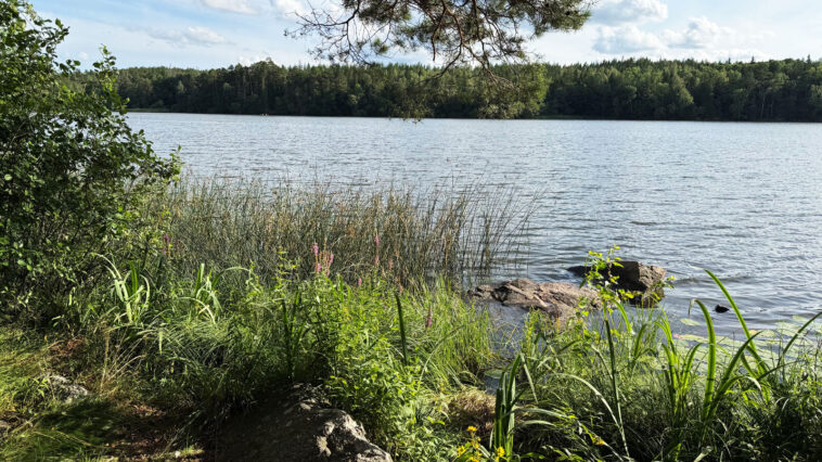 Les lacs peuvent être des puits de carbone, pas des sources, grâce à des rivages négligés