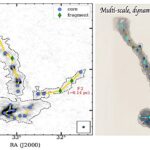 Les observations Alma révèlent des modes de double fragmentation dans le nuage de formation d'étoiles de masse élevée Les observations Alma révèlent des modes de double fragmentation dans le nuage de formation d'étoiles de masse élevée