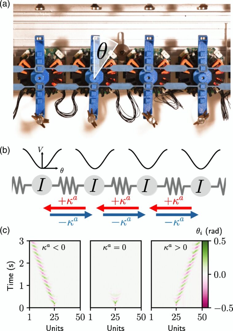 Les physiciens créent des solitons stables et «respirants» dans des contextes sans conservation de l'énergie