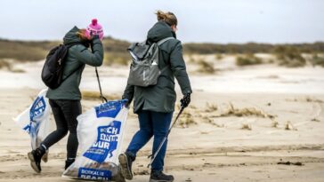 Les plongeurs néerlandais transportent encore des débris six ans après le déversement de conteneurs