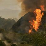 Les puits de carbone de la Terre sont érodés par les boucles de rétroaction du changement climatique
