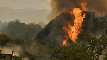 Les puits de carbone de la Terre sont érodés par les boucles de rétroaction du changement climatique