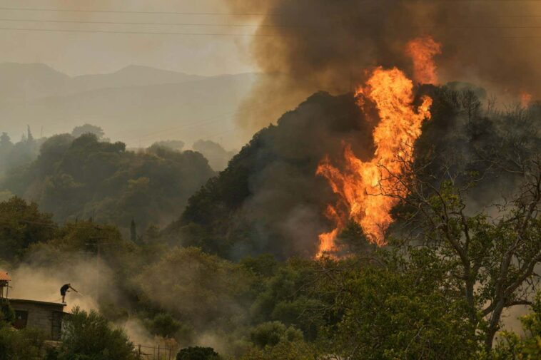 Les puits de carbone de la Terre sont érodés par les boucles de rétroaction du changement climatique